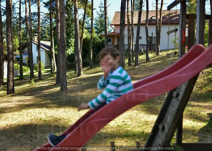 Orlik
